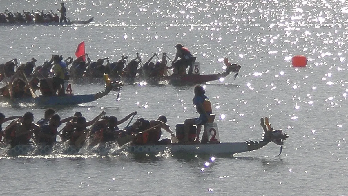 Dragon boats racing at 2008 SFIDBF 01