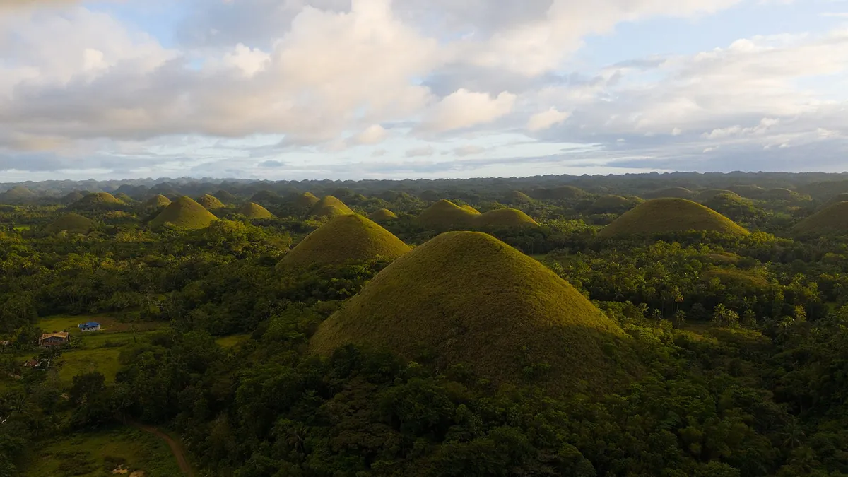 The Chocolate Hills of Bohol seen from the viewpoint